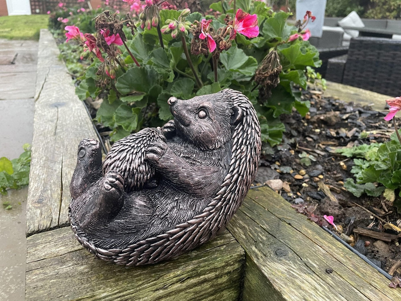 Hedgehog and Baby - Backyard Bliss