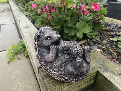 Hedgehog and Baby - Backyard Bliss