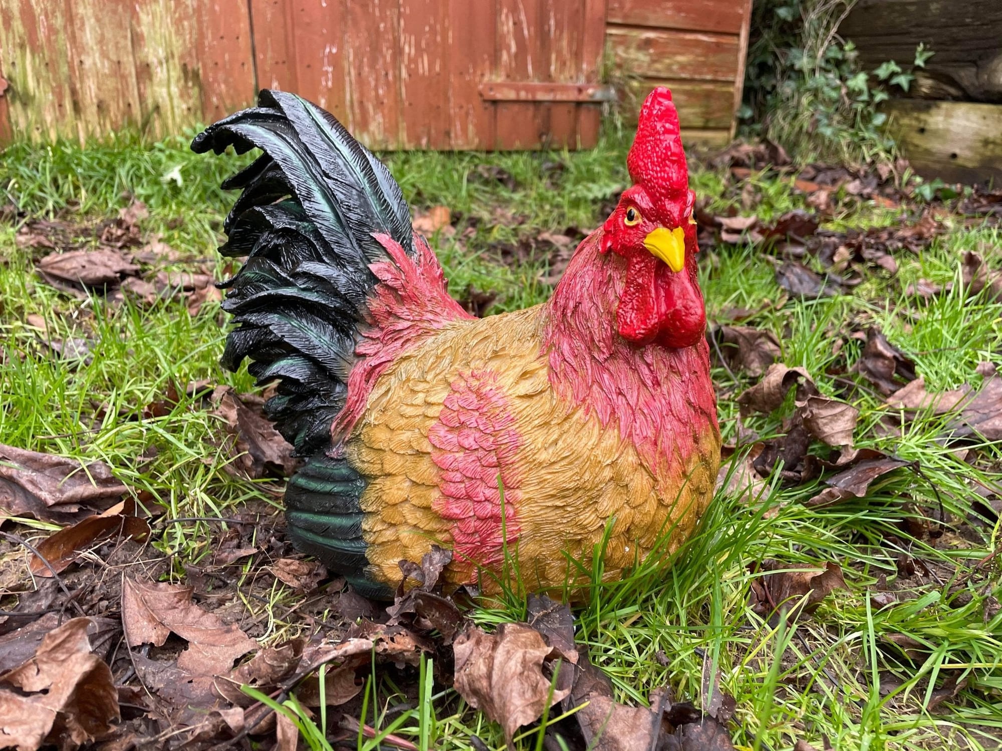 Hennie Hen - Backyard Bliss