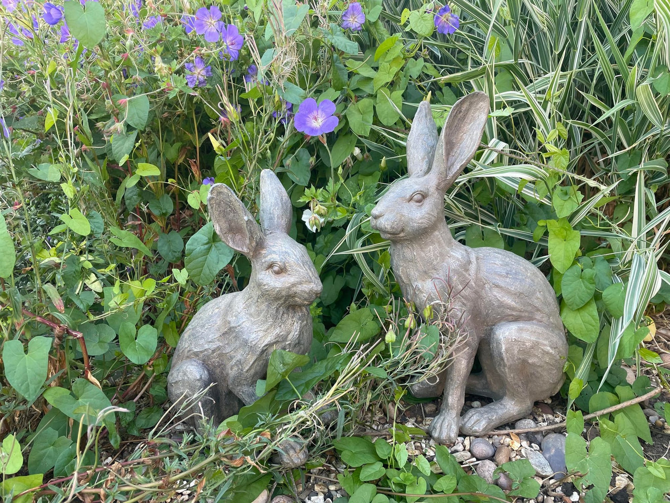 Henry & Harriet Hares - Backyard Bliss