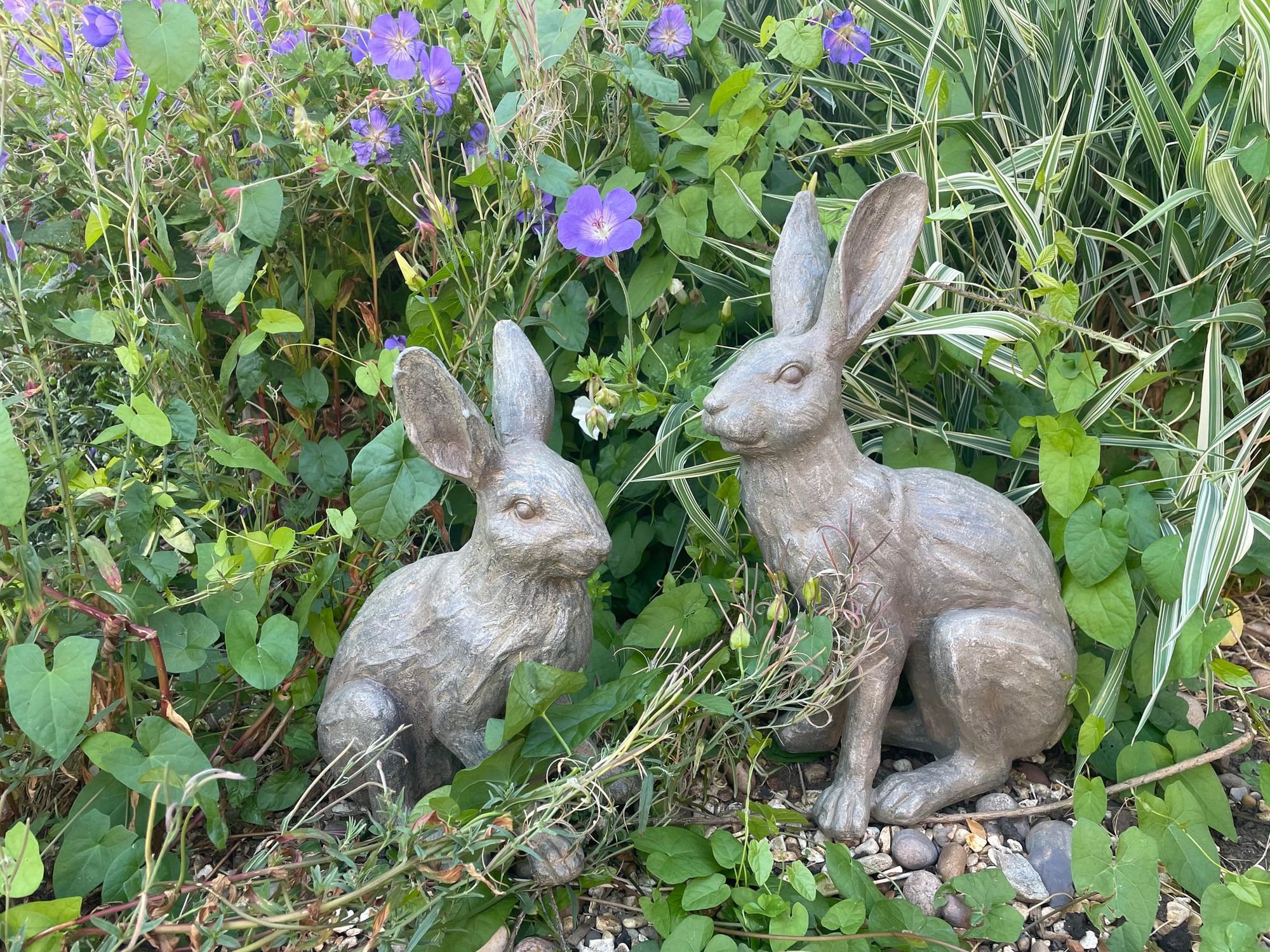 Henry & Harriet Hares - Backyard Bliss