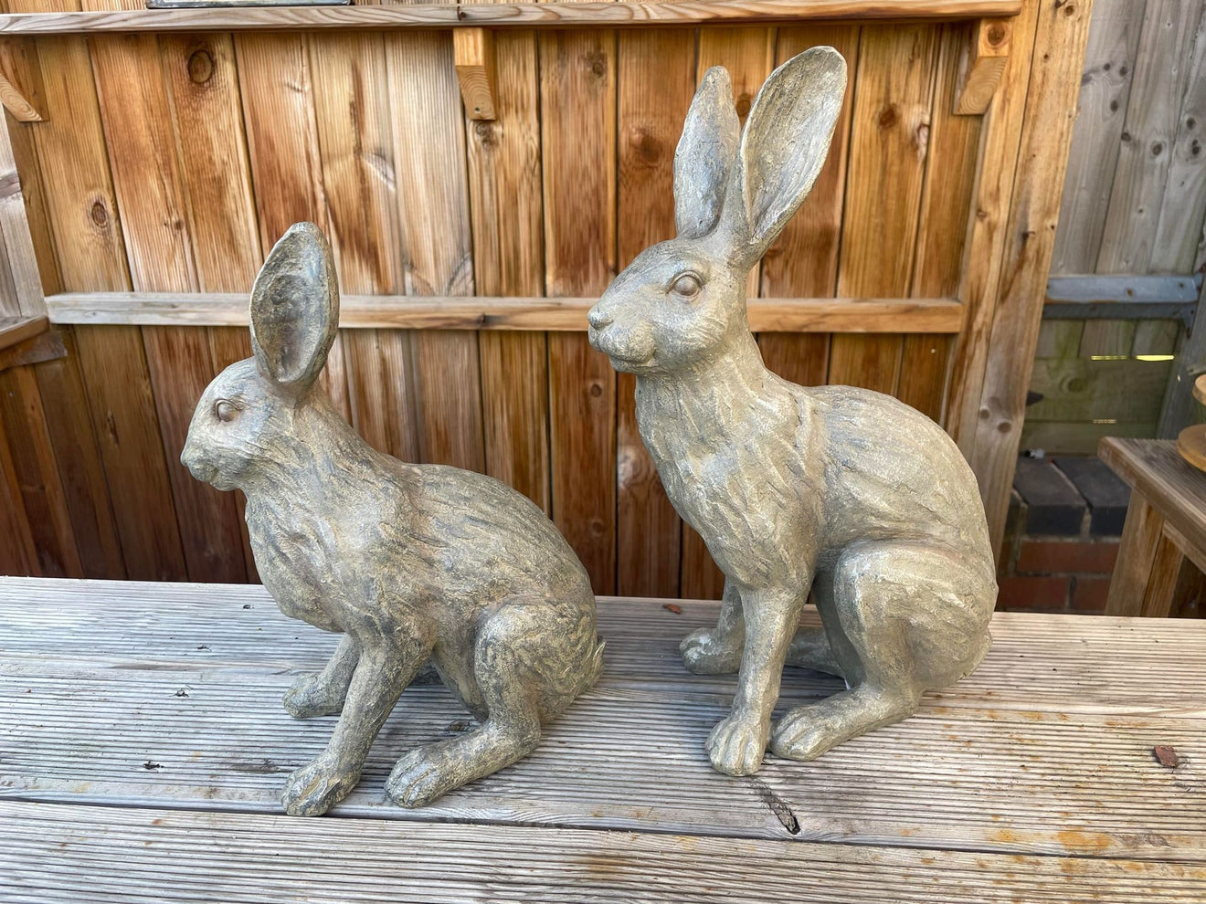 Henry & Harriet Hares - Backyard Bliss