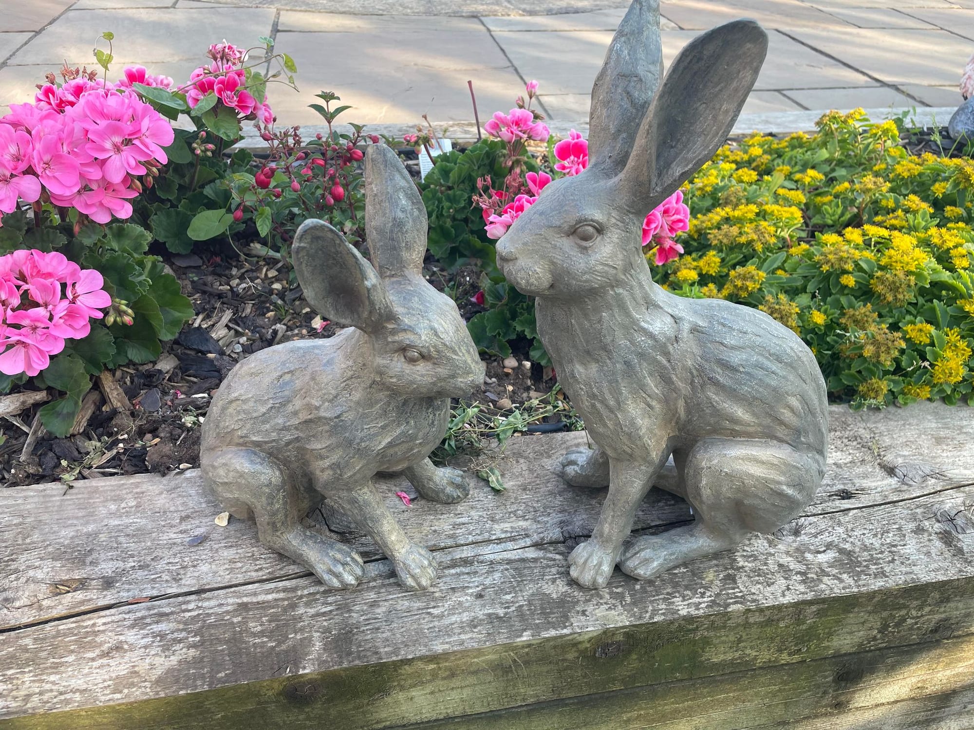 Henry & Harriet Hares - Backyard Bliss