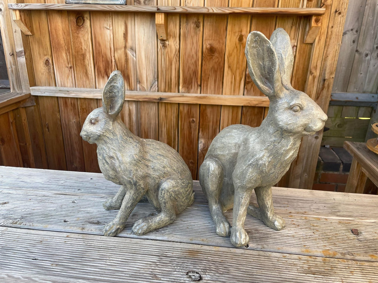 Henry & Harriet Hares - Backyard Bliss