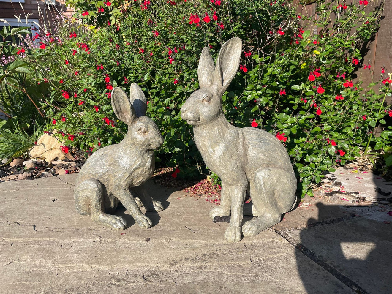 Henry & Harriet Hares - Backyard Bliss