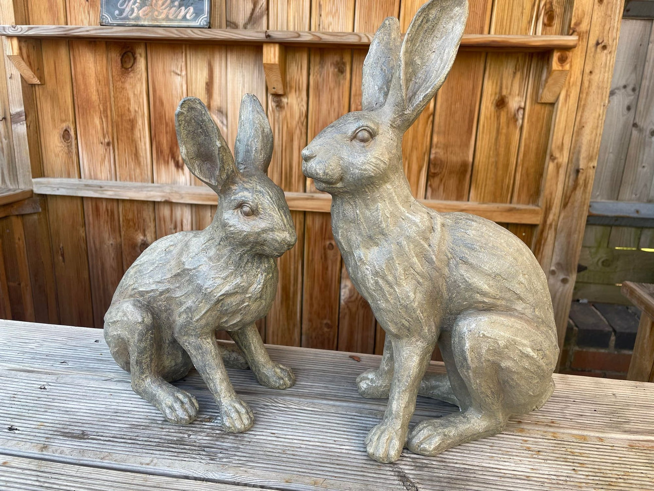 Henry & Harriet Hares - Backyard Bliss