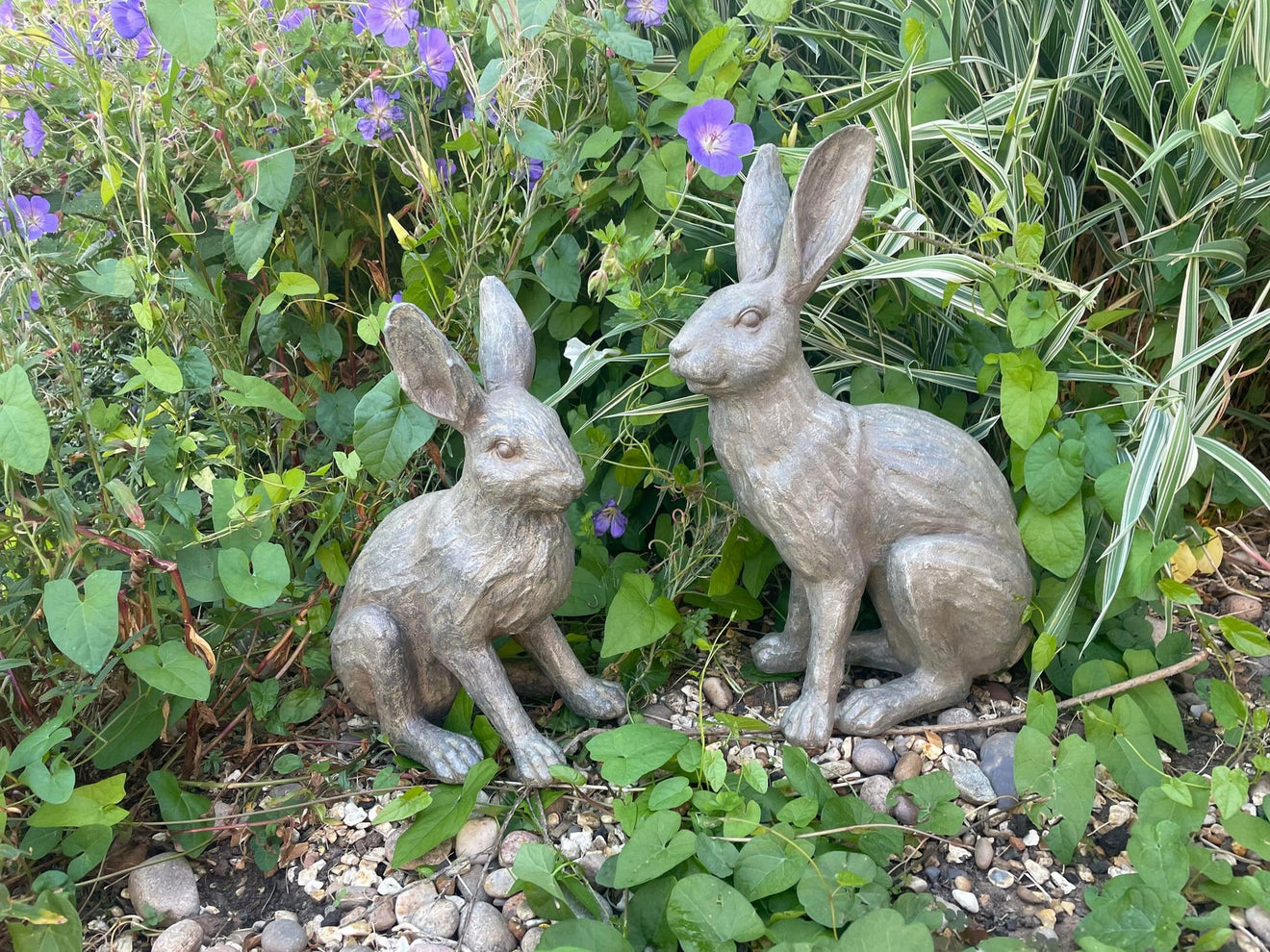 Henry & Harriet Hares - Backyard Bliss