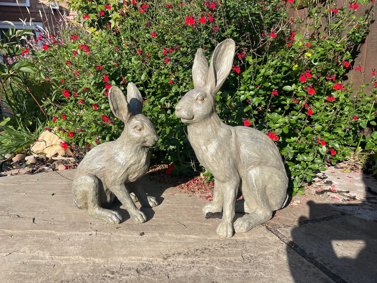 Henry & Harriet Hares - Backyard Bliss