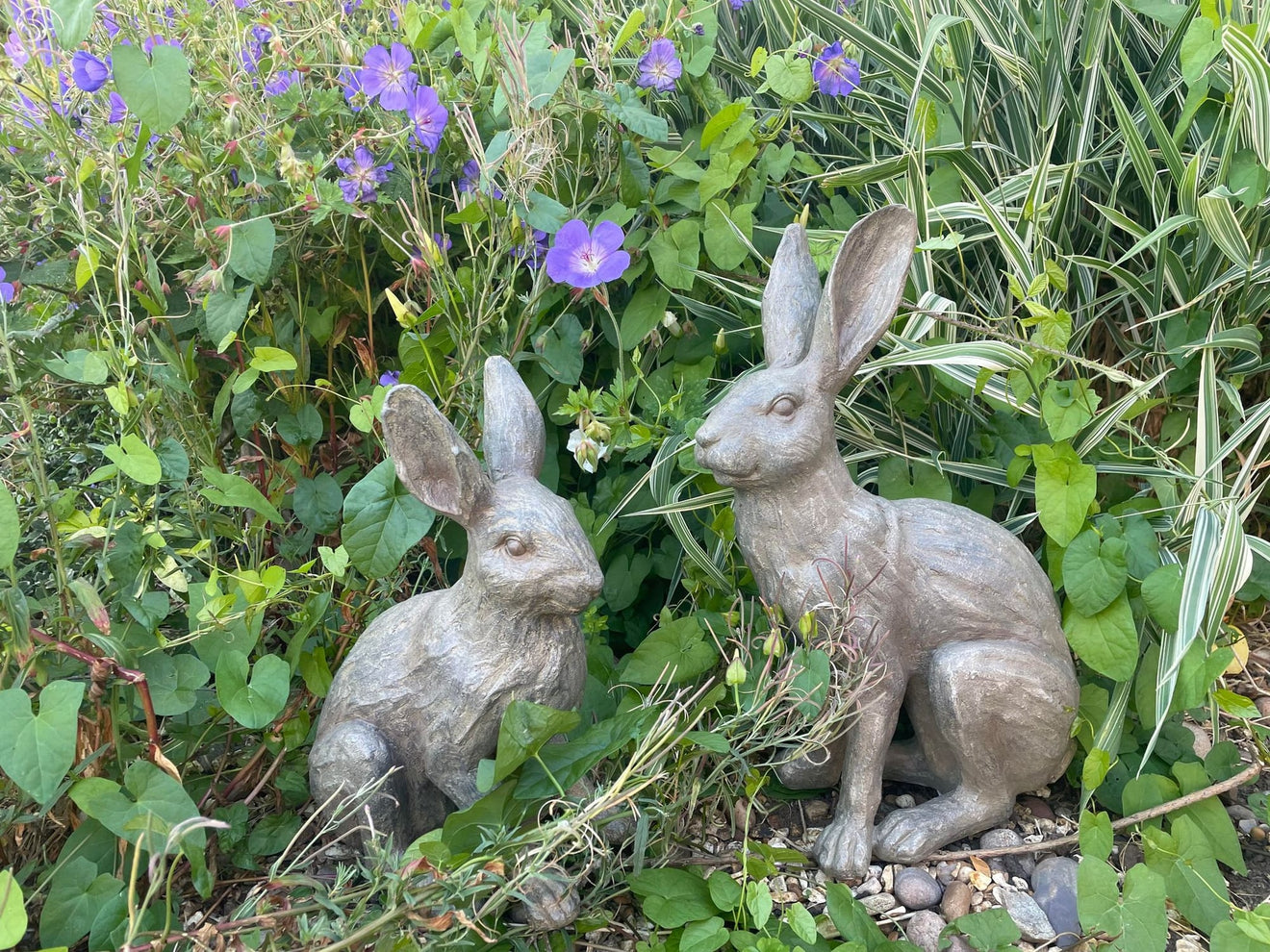 Henry & Harriet Hares - Backyard Bliss