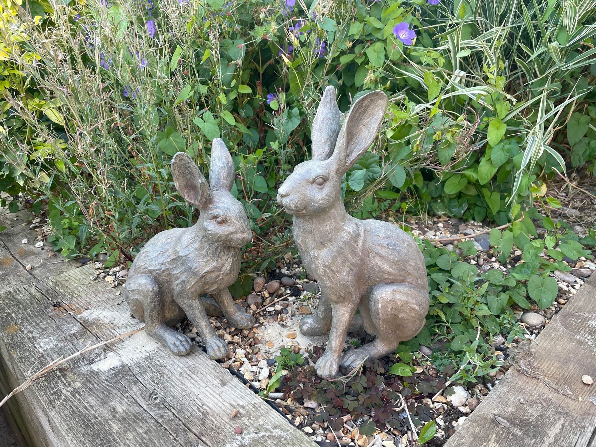 Henry & Harriet Hares - Backyard Bliss