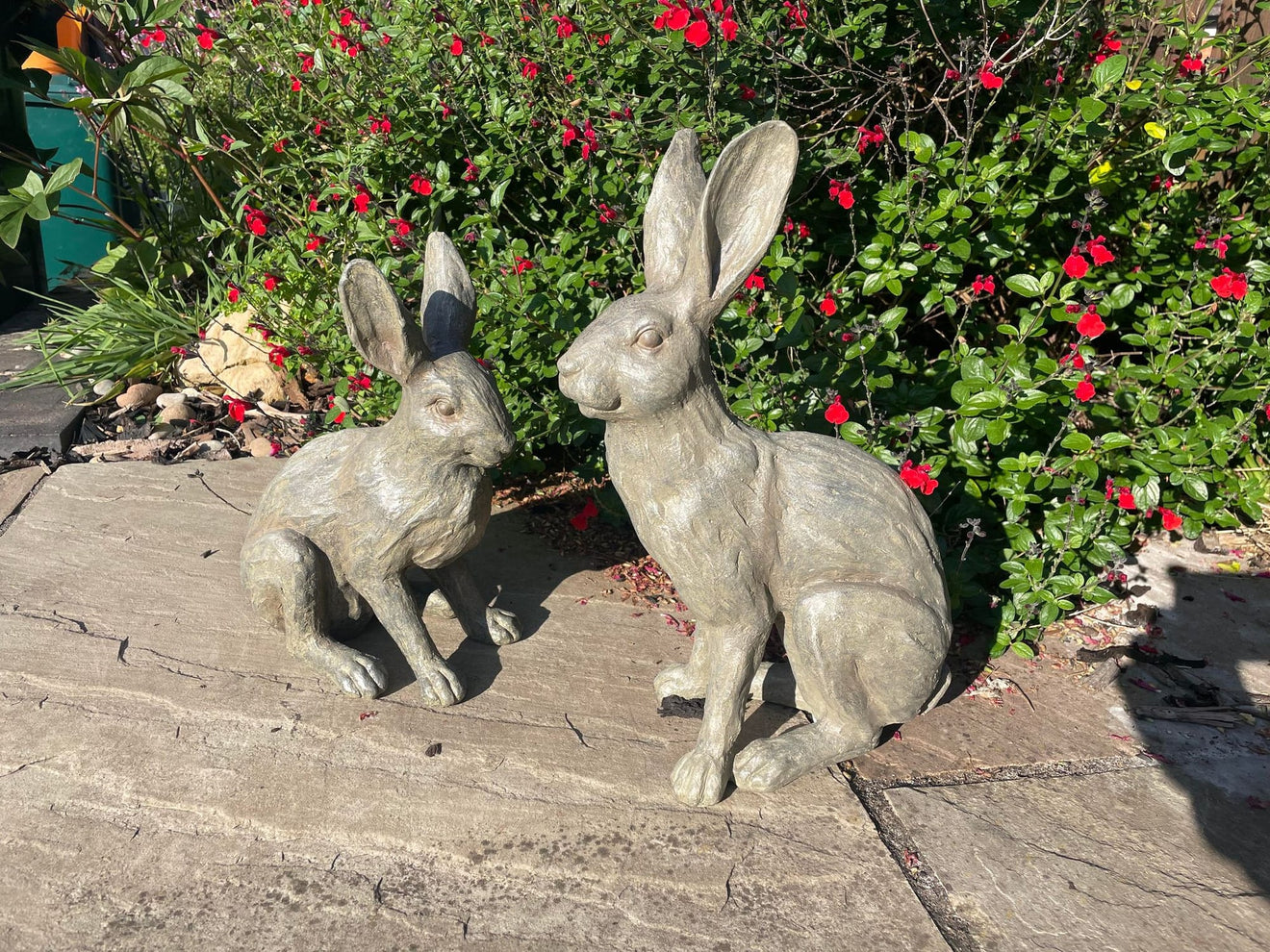 Henry & Harriet Hares - Backyard Bliss