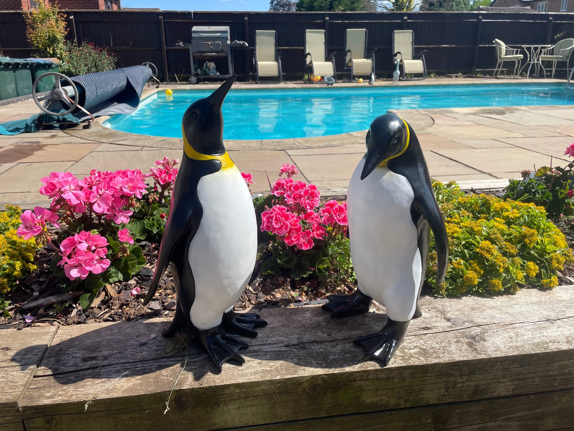 Emperor Penguin's Garden Ornaments