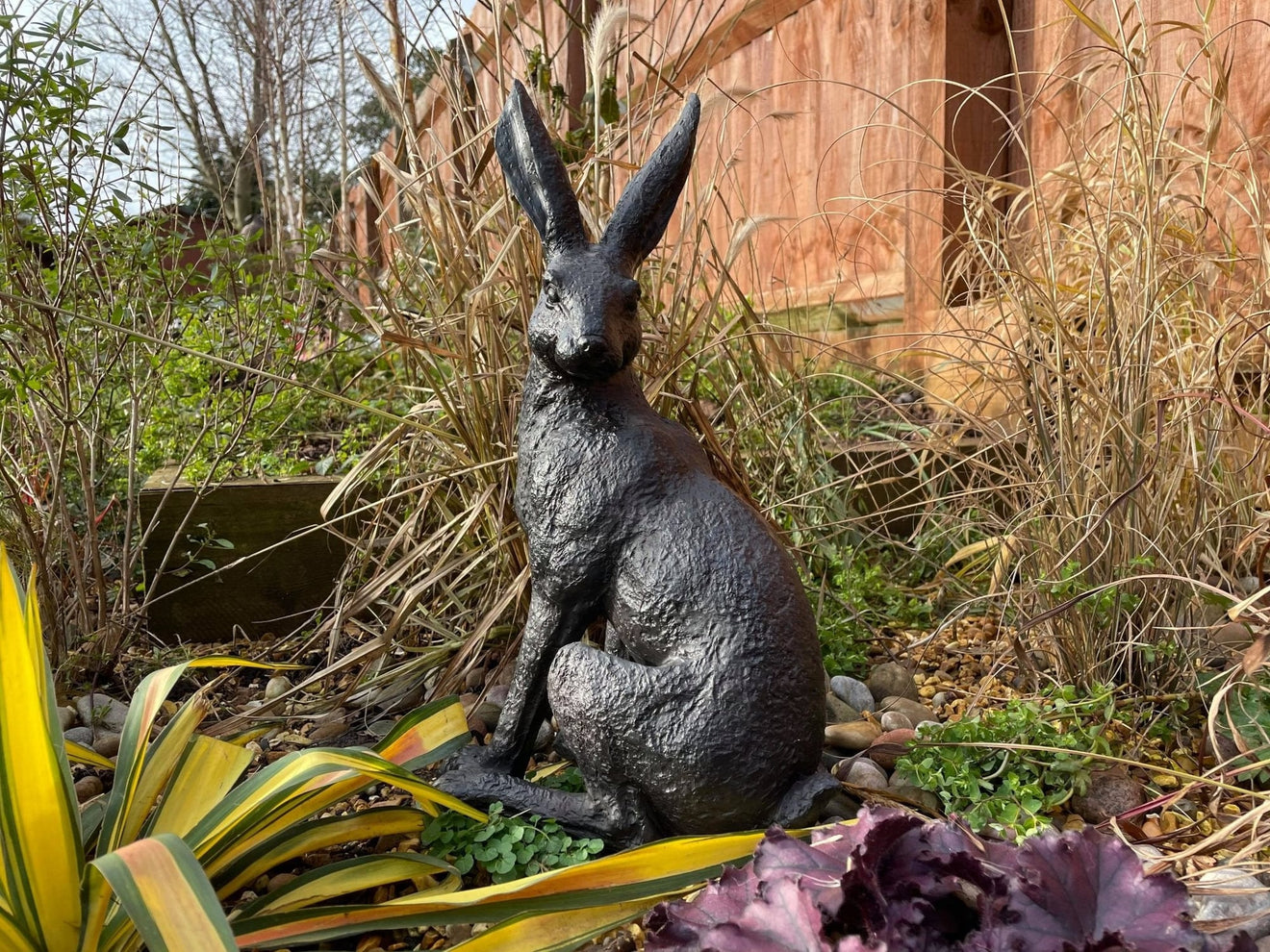 Large March Hare - Backyard Bliss