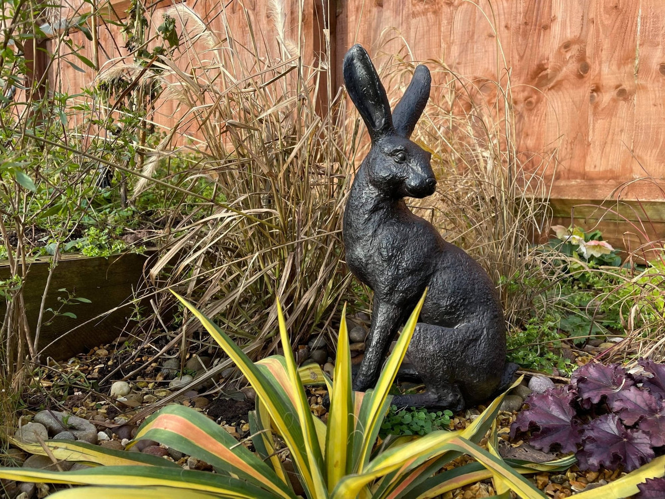 Large March Hare - Backyard Bliss