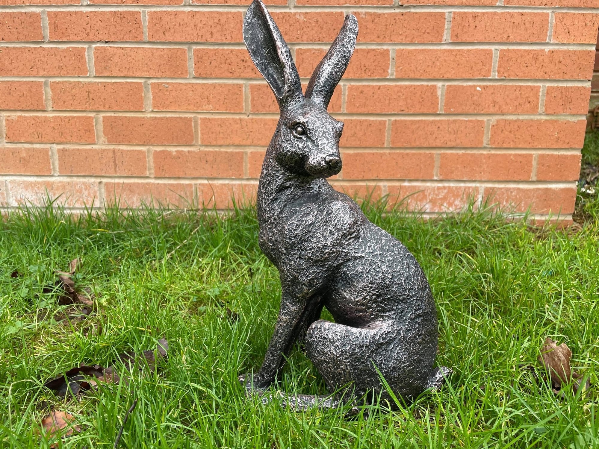 Large March Hare - Backyard Bliss