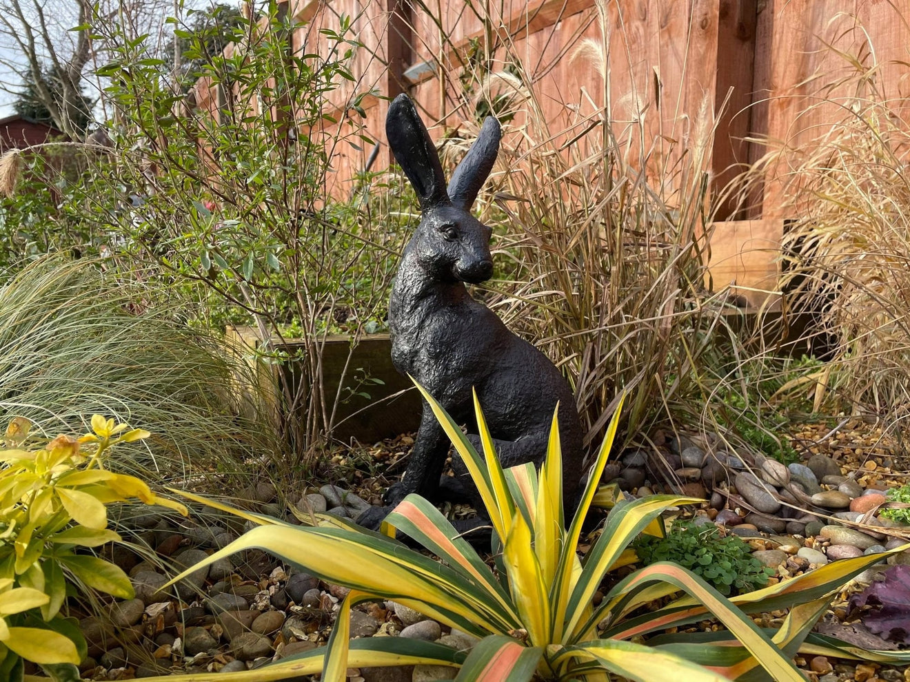 Large March Hare - Backyard Bliss