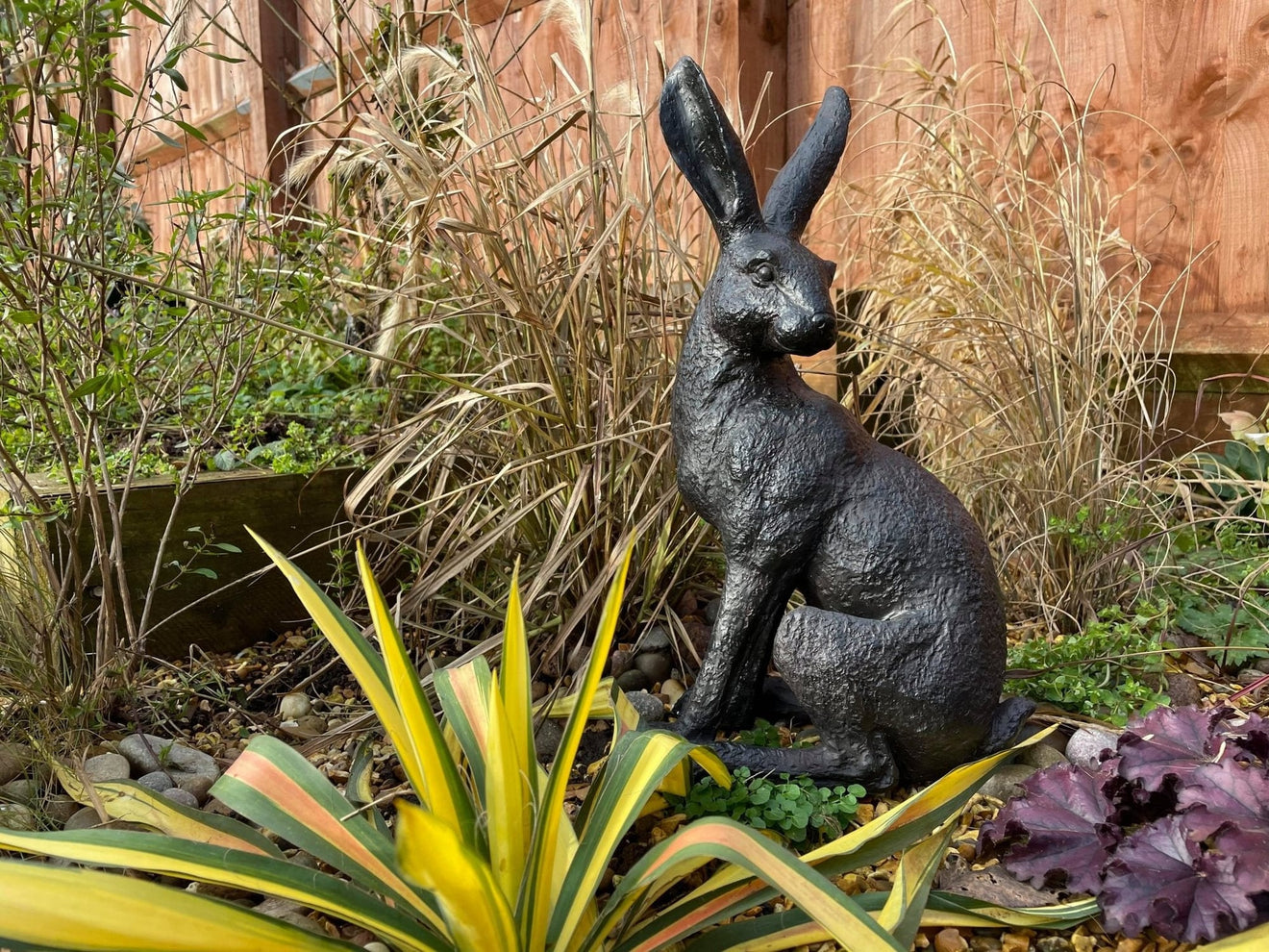 Large March Hare - Backyard Bliss