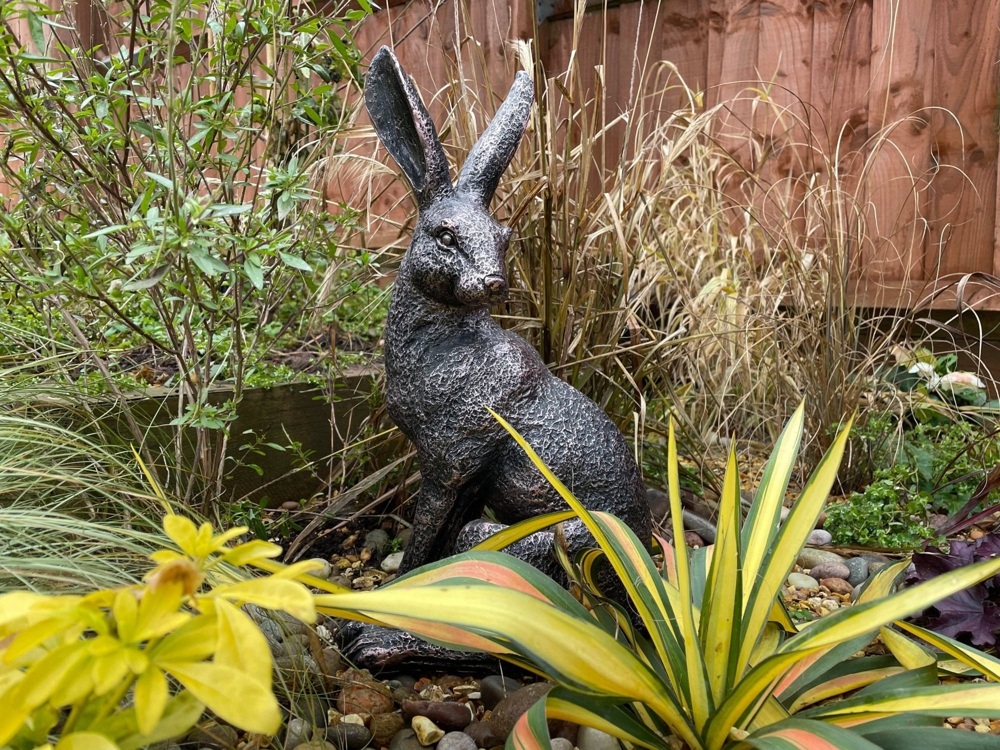 Large March Hare - Backyard Bliss