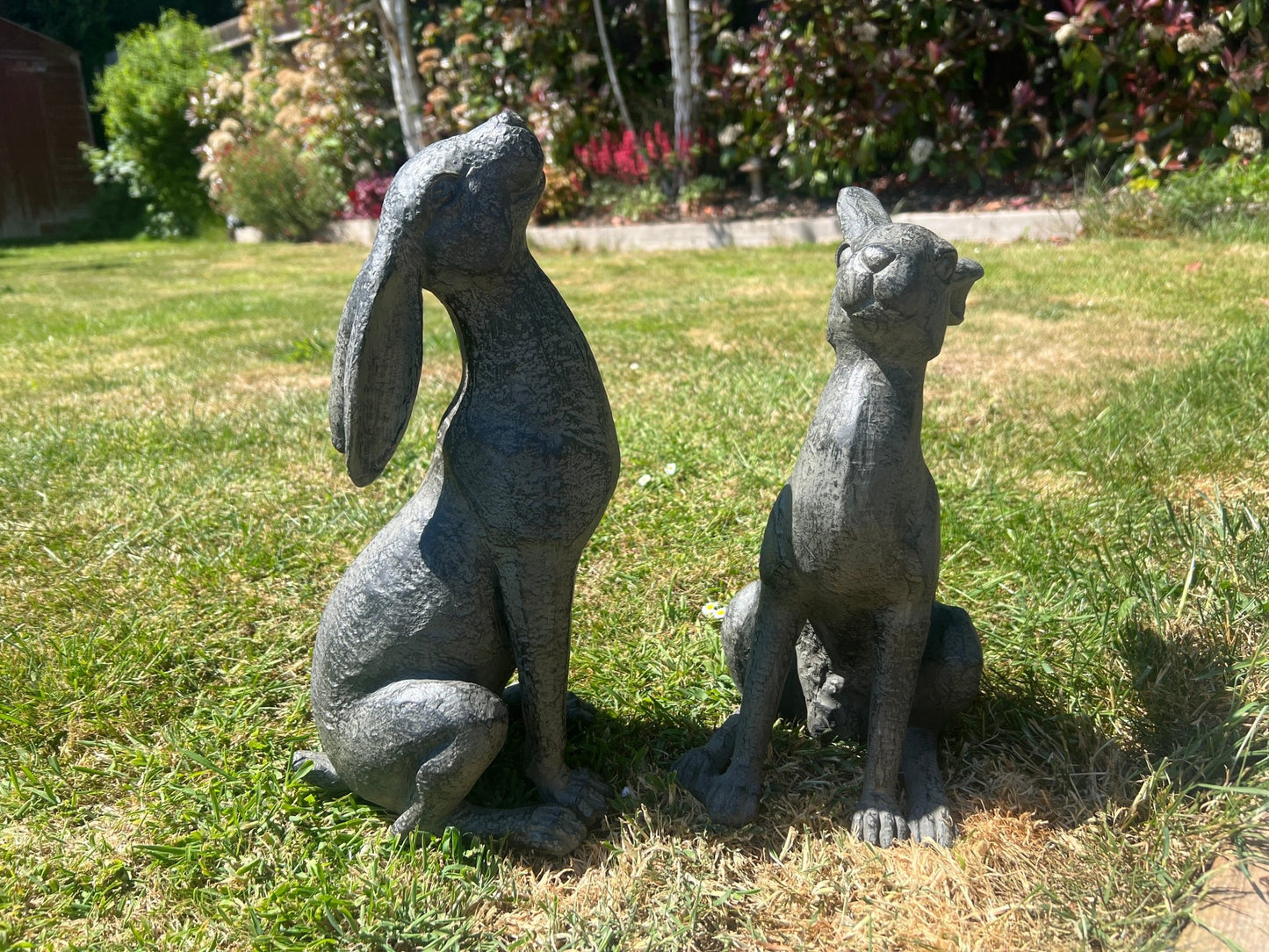 Large Moon - Gazing Graphite Hares Set - Backyard Bliss