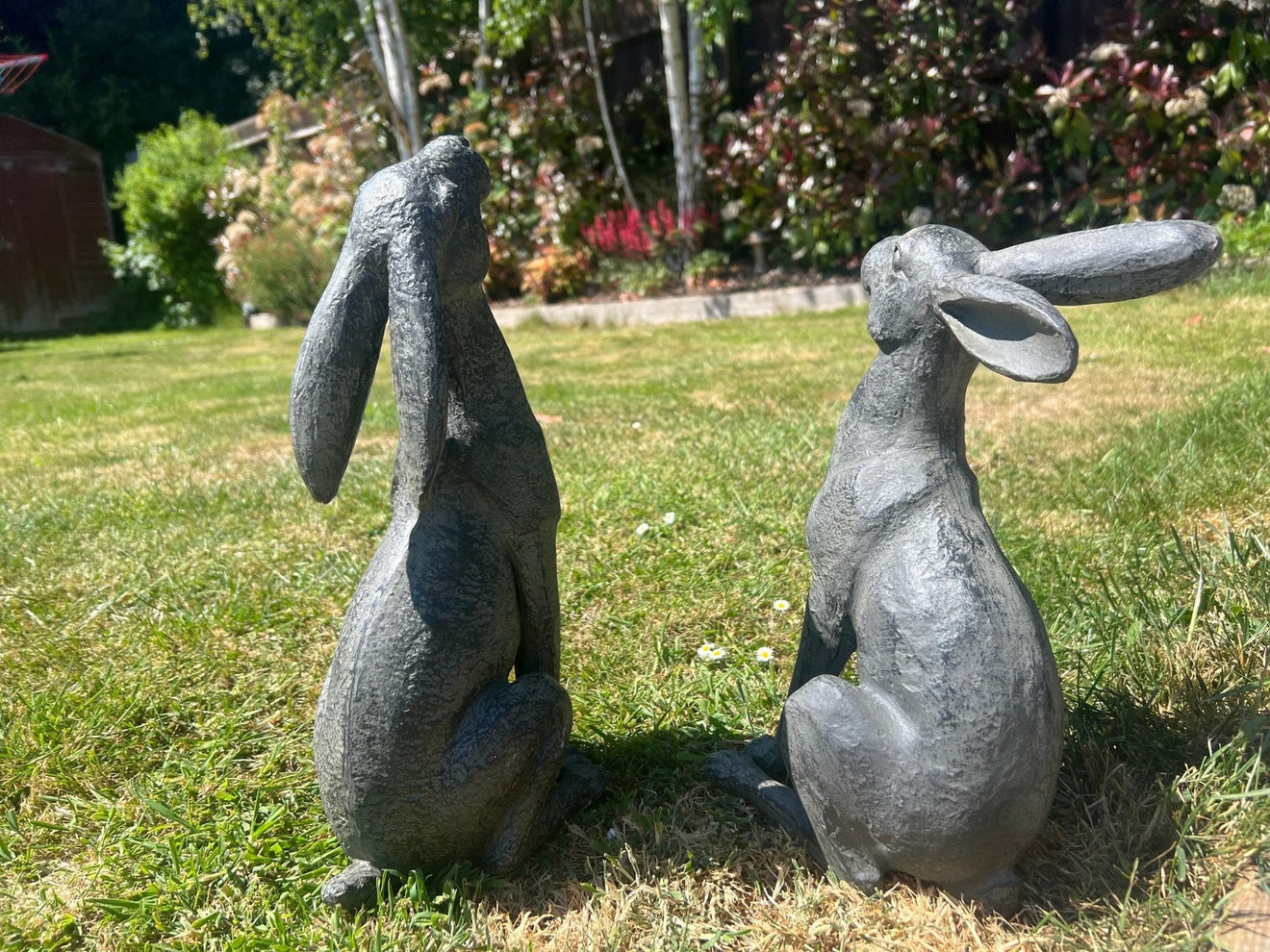 Large Moon - Gazing Graphite Hares Set - Backyard Bliss