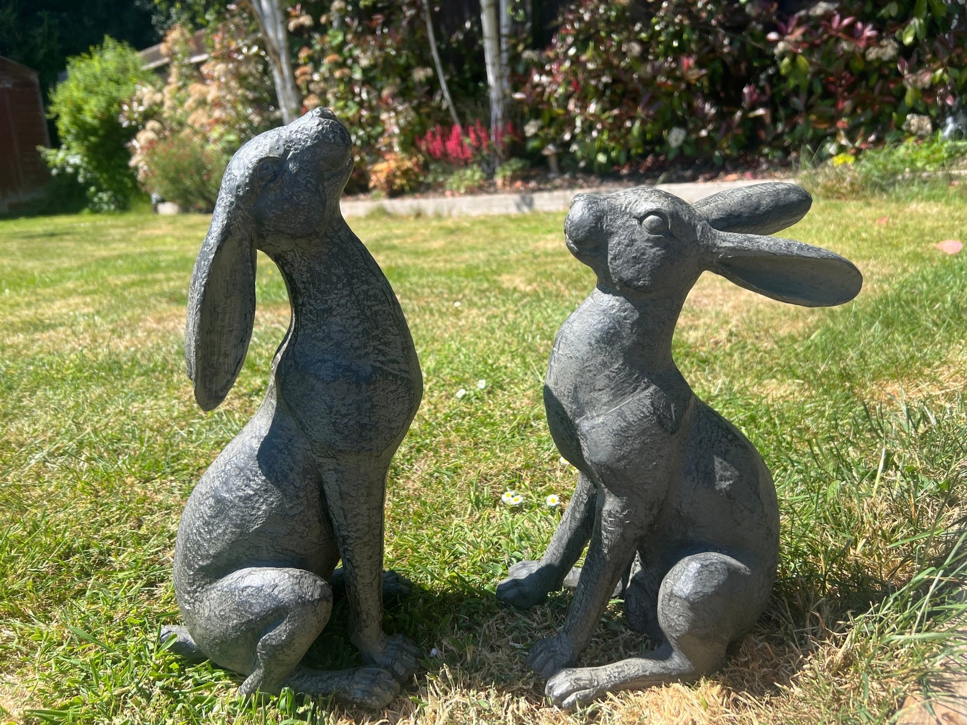 Large Moon - Gazing Graphite Hares Set - Backyard Bliss