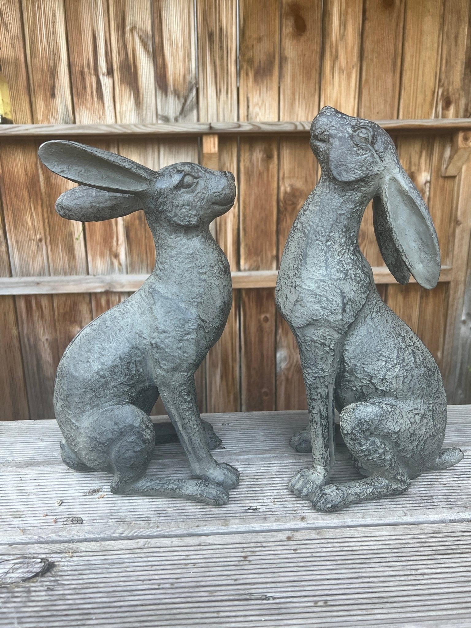 Large Moon - Gazing Graphite Hares Set - Backyard Bliss
