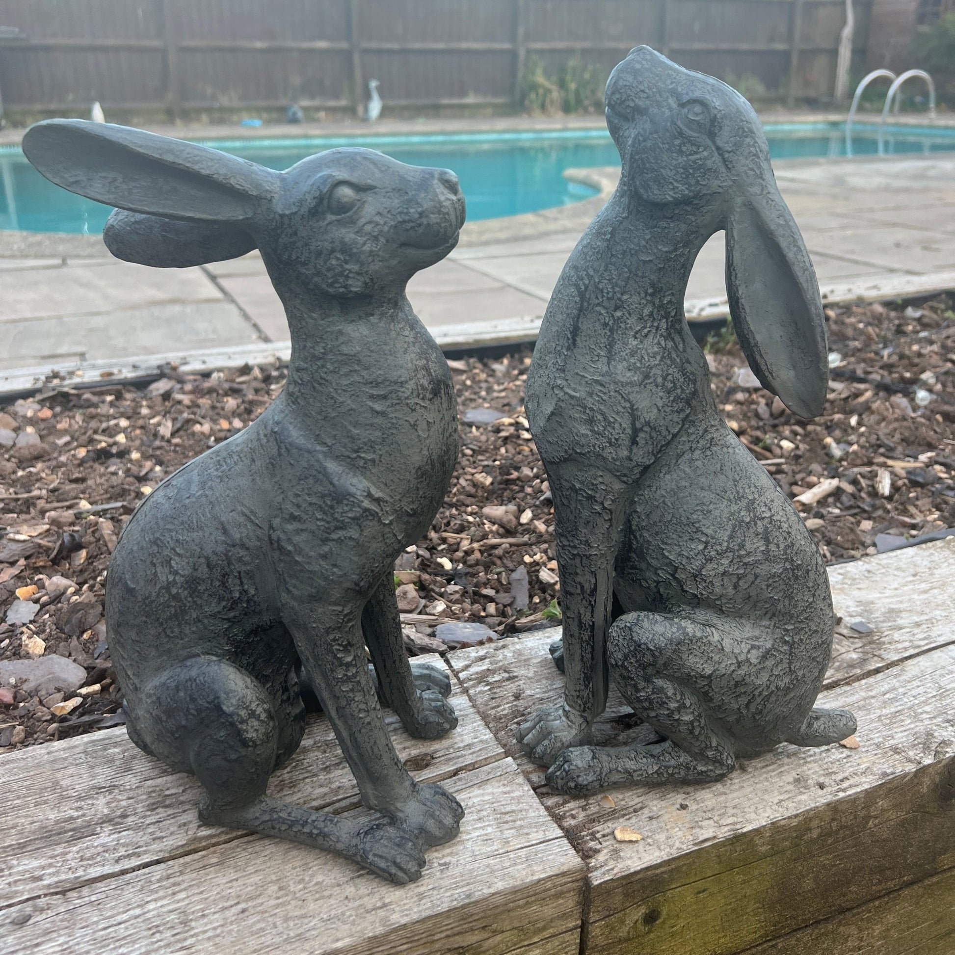 Large Moon - Gazing Graphite Hares Set - Backyard Bliss