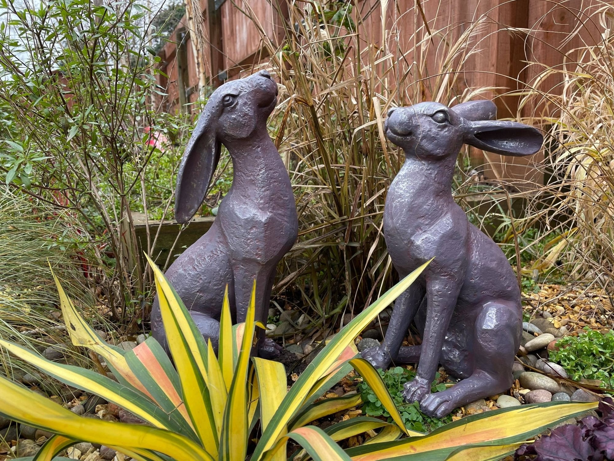 Large Moon - Gazing Hares - Brown - Backyard Bliss