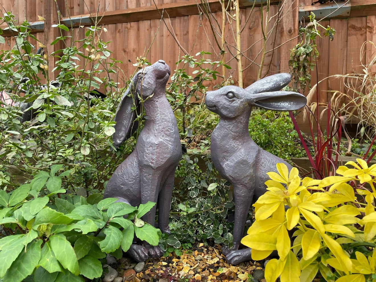 Large Moon - Gazing Hares - Brown - Backyard Bliss