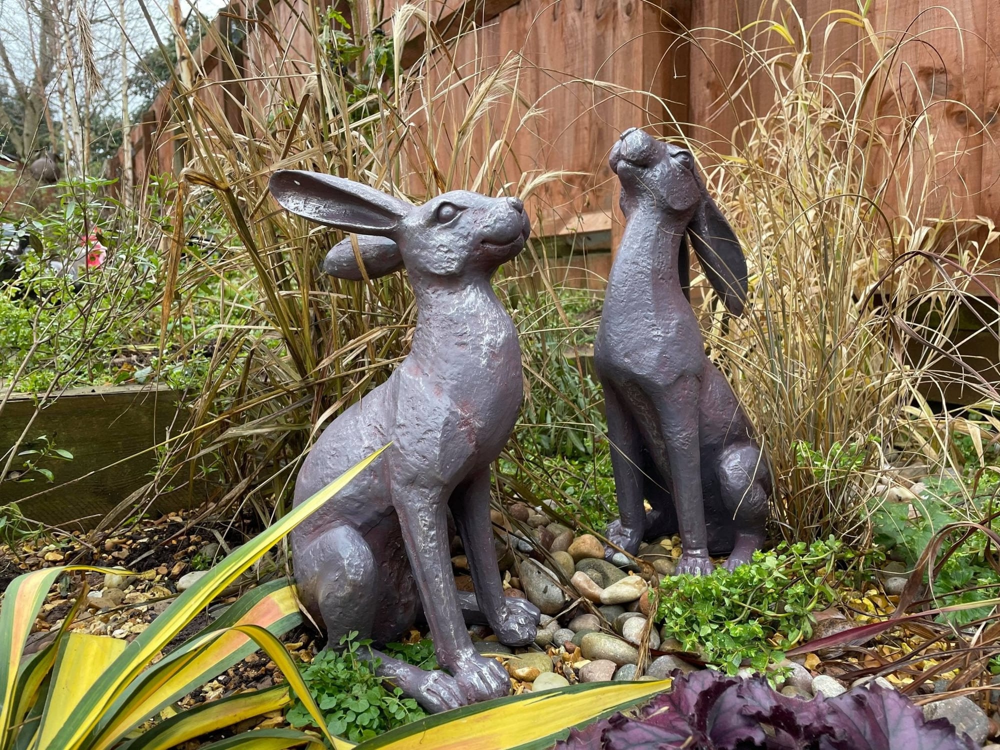 Large Moon - Gazing Hares - Brown - Backyard Bliss