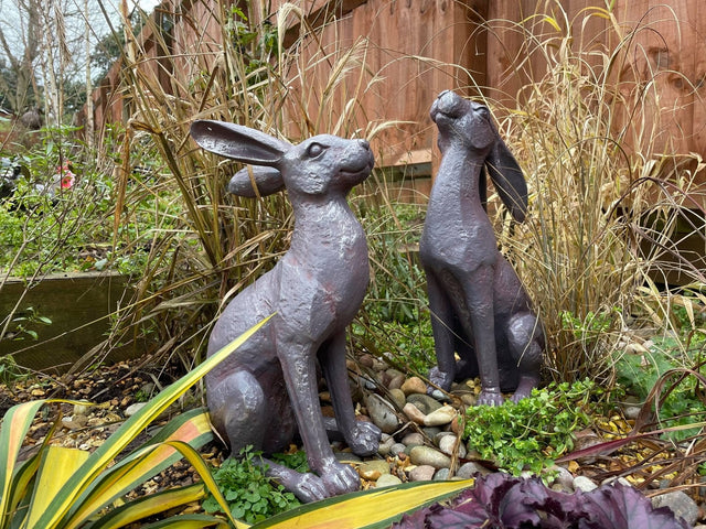 Large Moon - Gazing Hares - Brown - Backyard Bliss