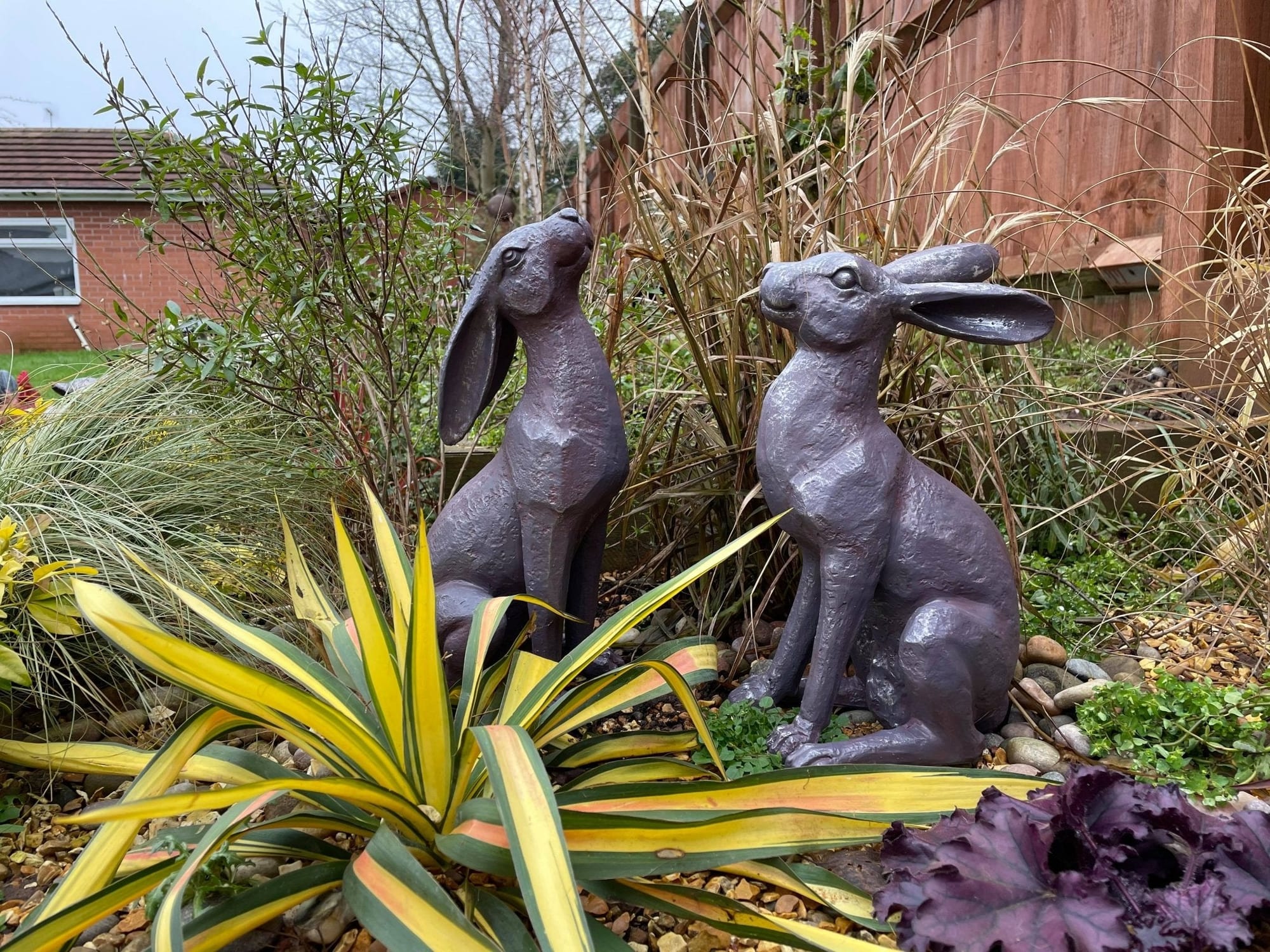 Large Moon - Gazing Hares - Brown - Backyard Bliss