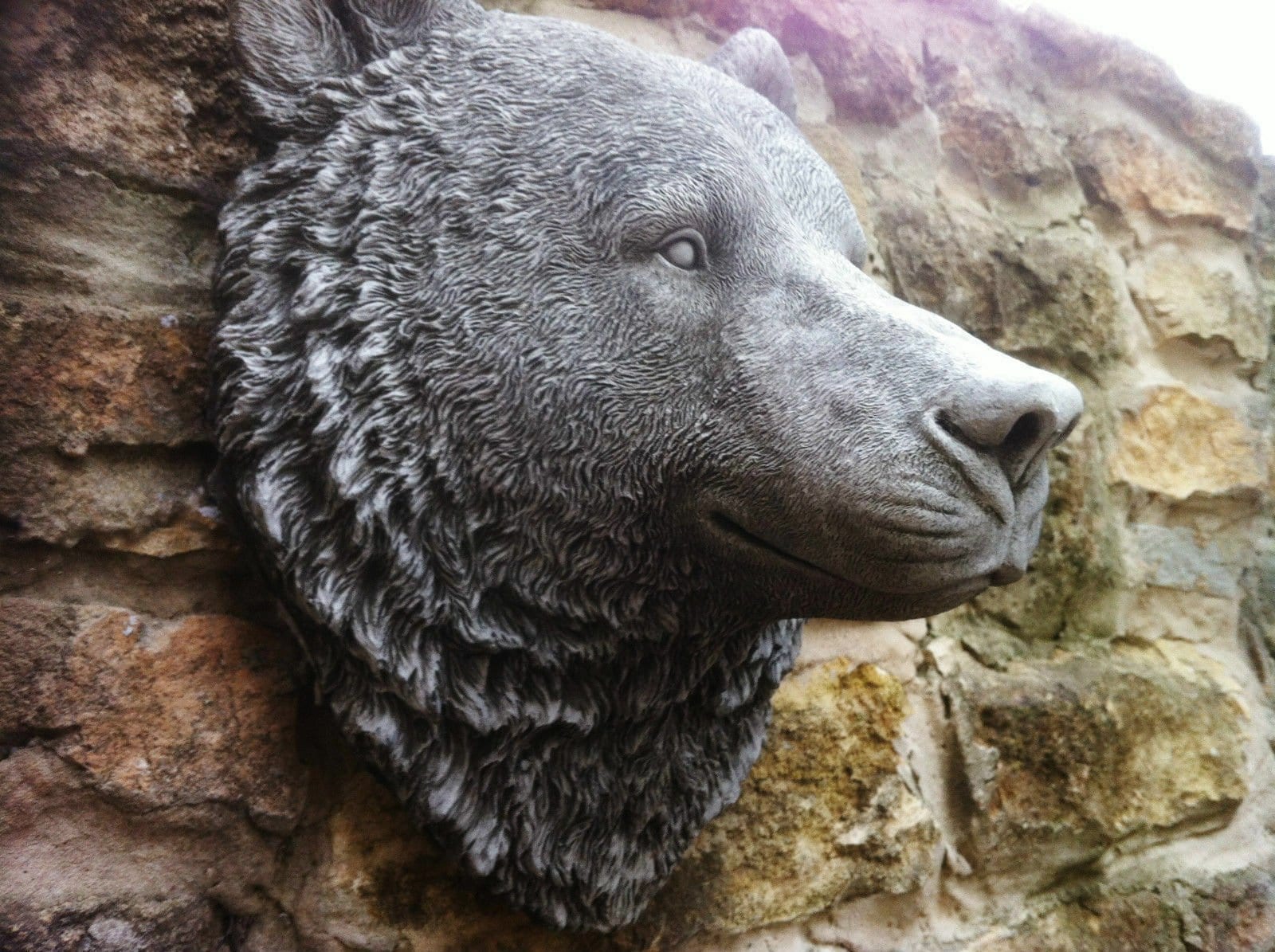 Large Wall Mounted Bear Head - Backyard Bliss