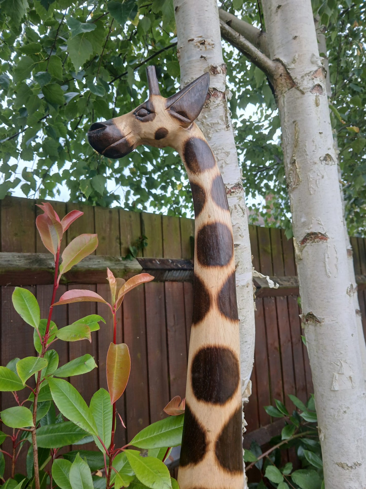 Large Wooden Giraffes - Set of 4 - Backyard Bliss