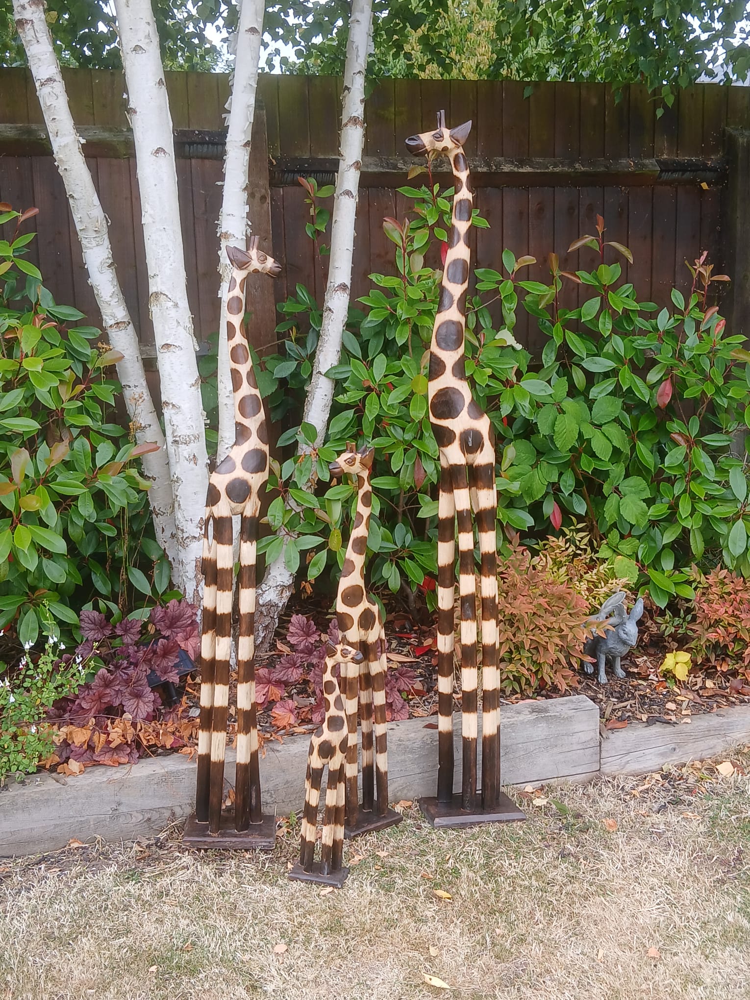 Large Wooden Giraffes - Set of 4 - Backyard Bliss
