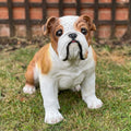 Life Size Johnson Bulldog | Garden Statue