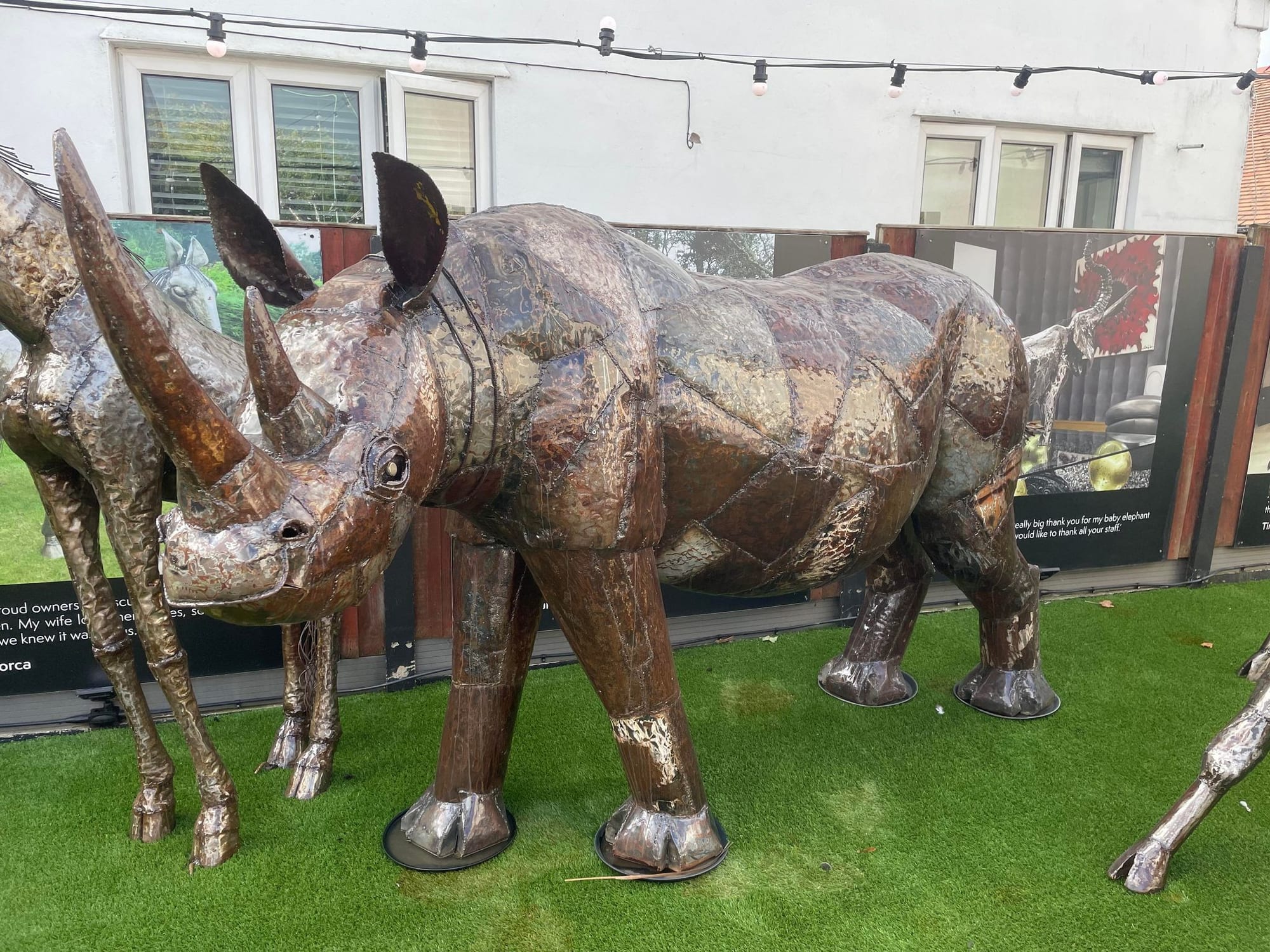 Life Size Metal Rhino Sculpture - Backyard Bliss