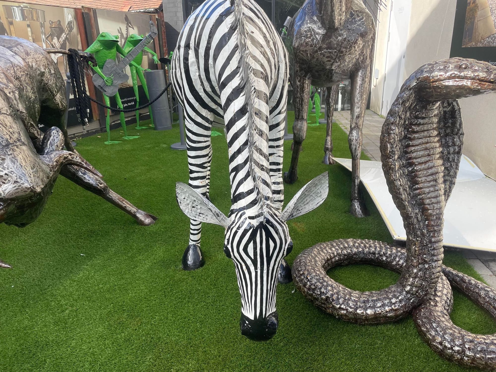 Lifesize Zebra - Backyard Bliss