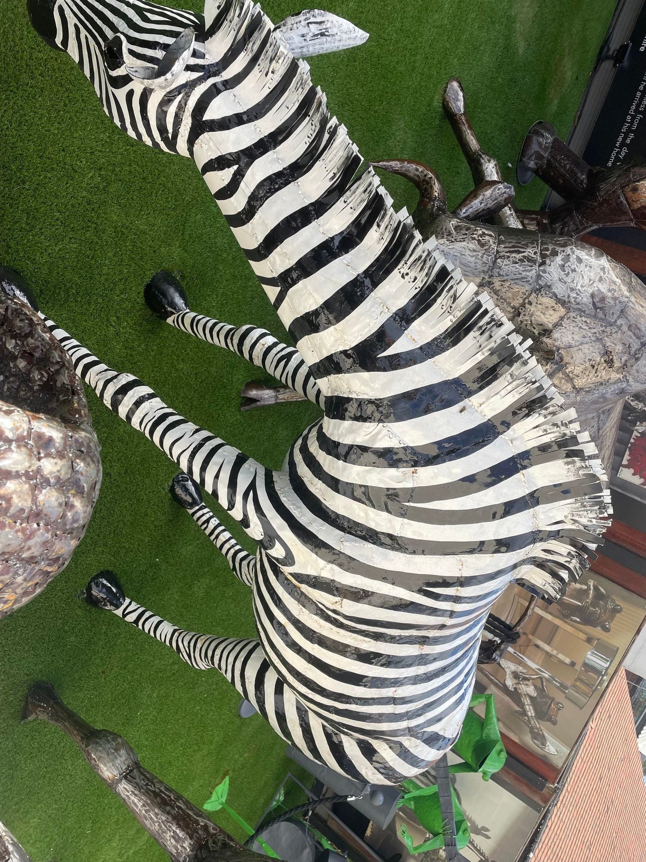 Lifesize Zebra - Backyard Bliss