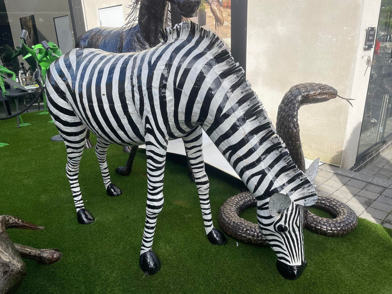 Lifesize Zebra - Backyard Bliss