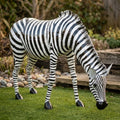 Lifesize Zebra | Garden Statue