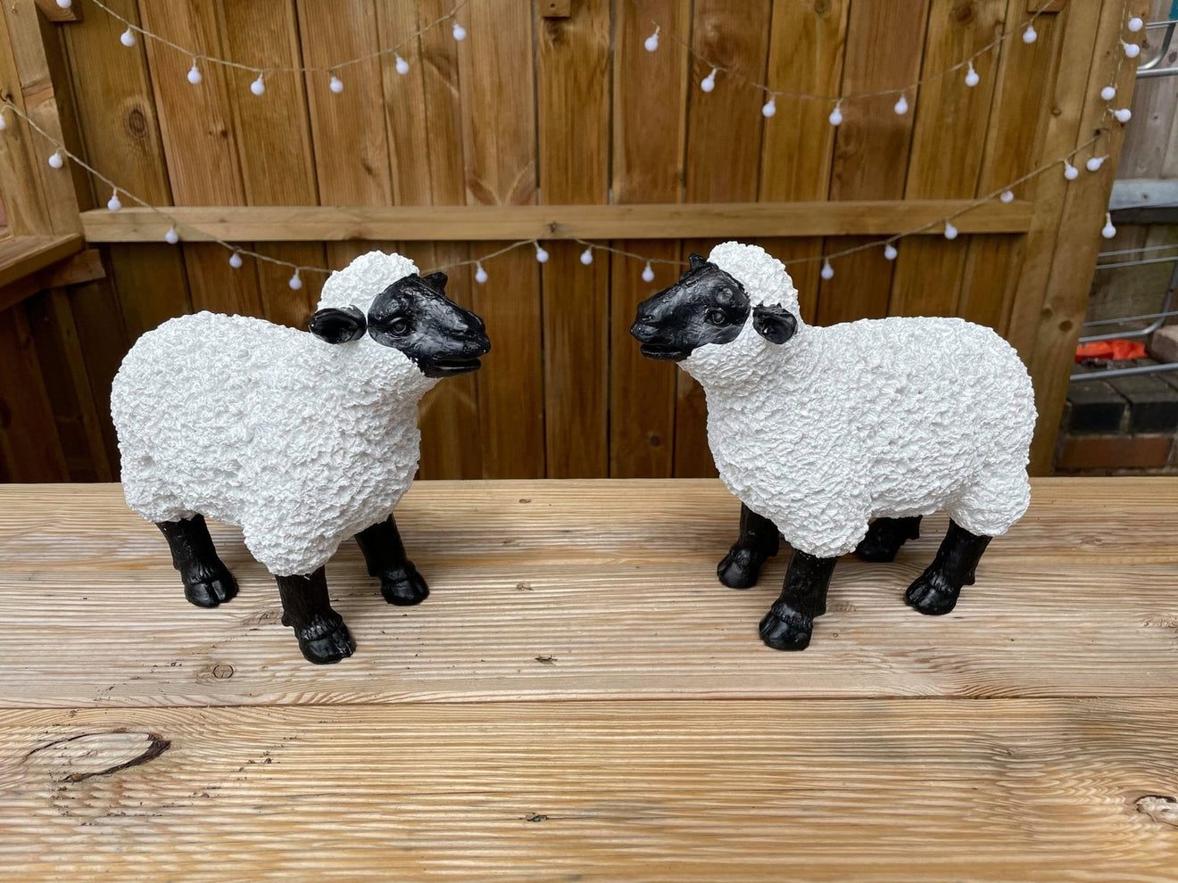 Lovely Lambs - Backyard Bliss