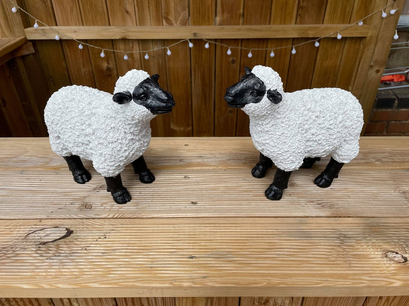Lovely Lambs - Backyard Bliss