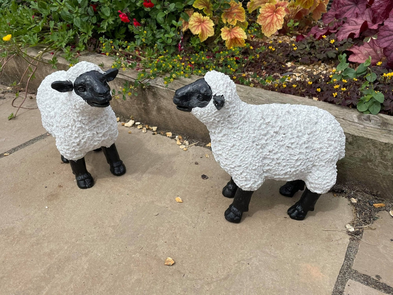 Lovely Lambs - Backyard Bliss