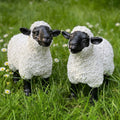 Lovely Lambs | Garden Statue
