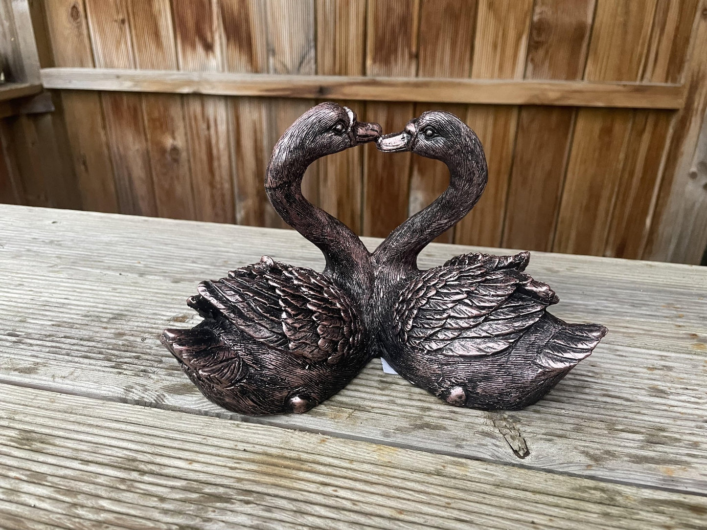 Loving Swan Couple - Backyard Bliss