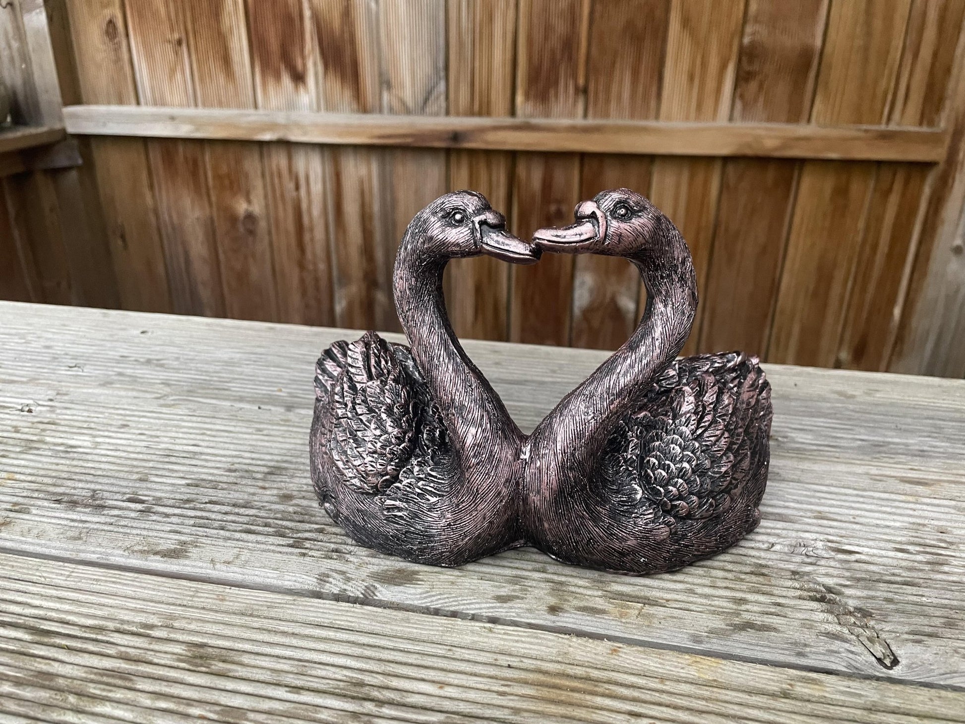 Loving Swan Couple - Backyard Bliss