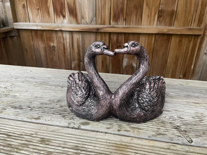 Loving Swan Couple - Backyard Bliss