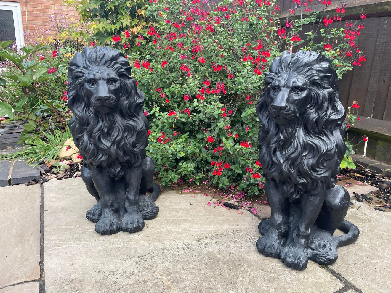 Majestic Lion Set - Backyard Bliss