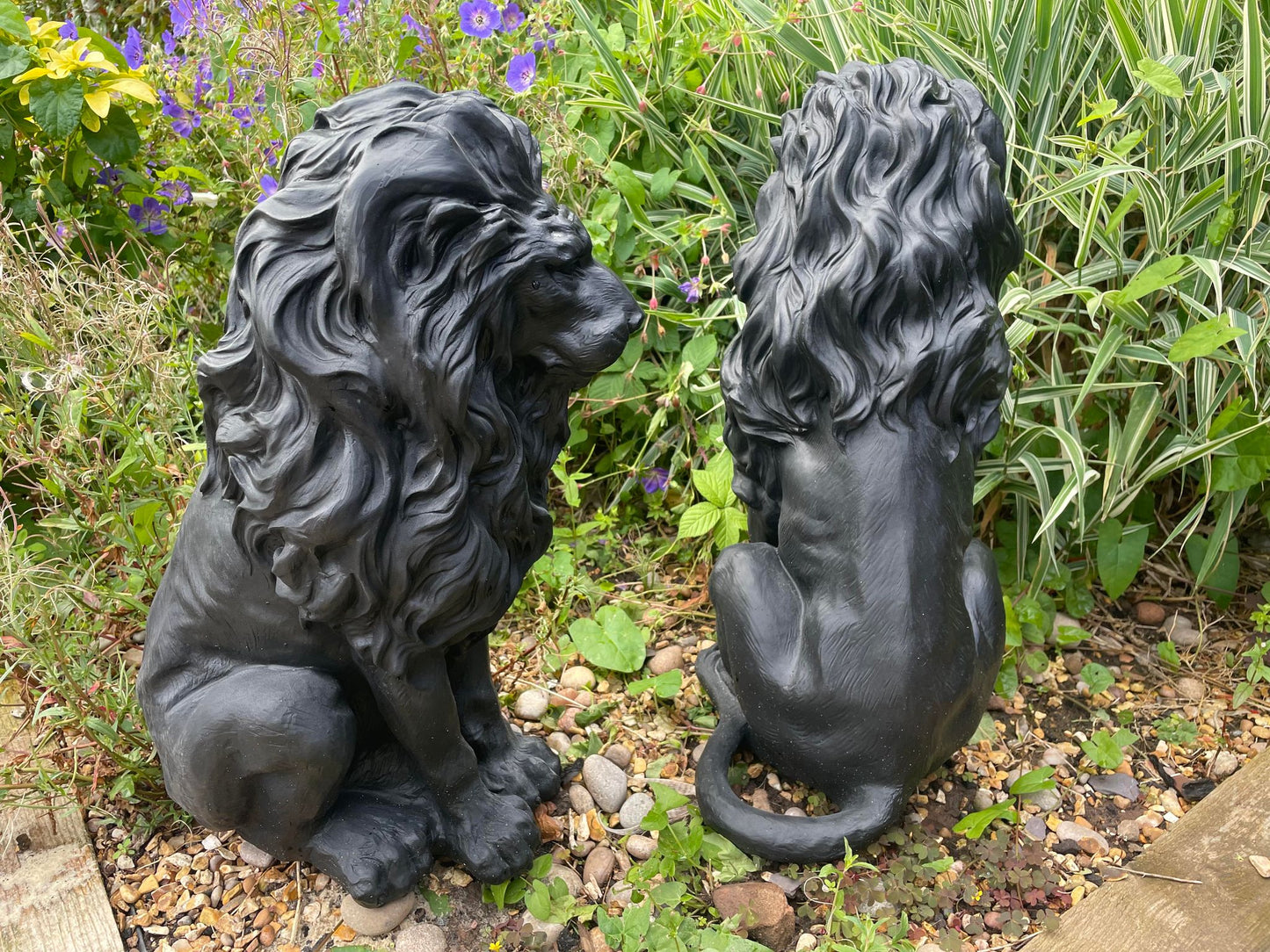 Majestic Lion Set - Backyard Bliss